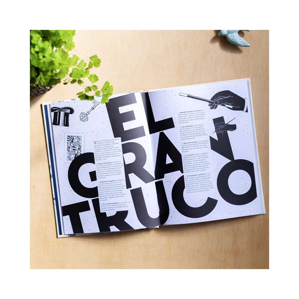 Imagen del producto 4