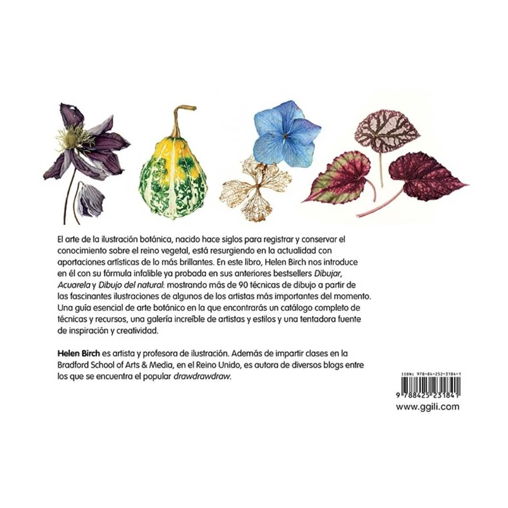 Imagen del producto 6